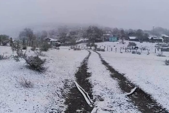 Esperan en noviembre ‘heladas tempranas’