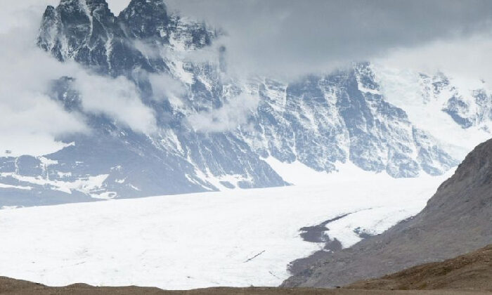 Antártida cambia de color por el deshielo