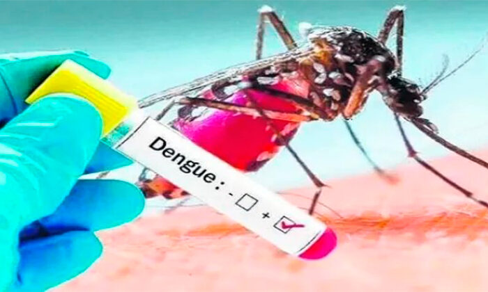 Hasta 50 casos sospechosos de dengue diarios