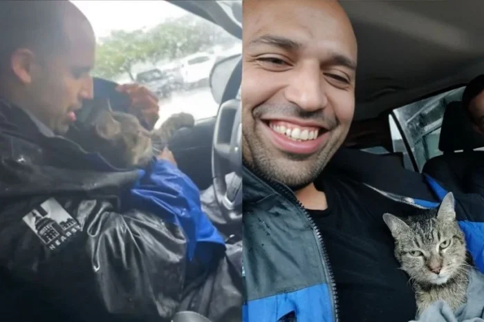 Reportero rescata a una gatita durante el huracán Milton en Florida