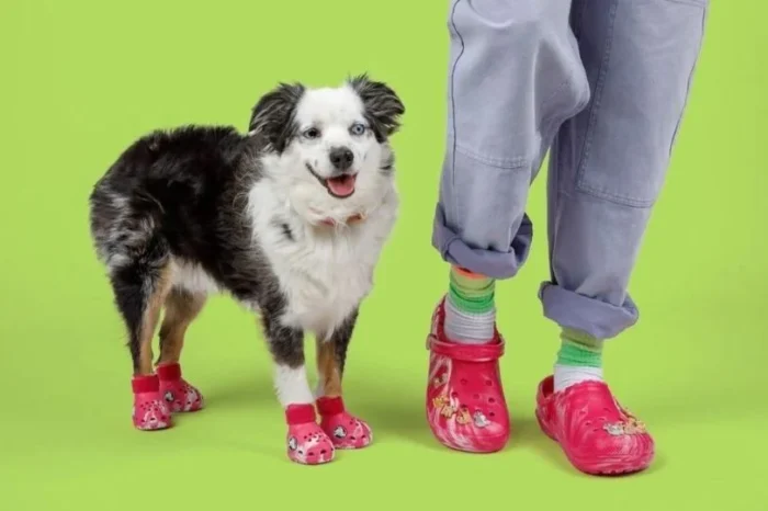 Crocs lanza sandalias para perritos