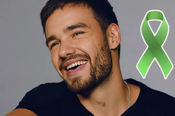 Fans de Liam Payne impulsan ley para proteger la salud mental de artistas