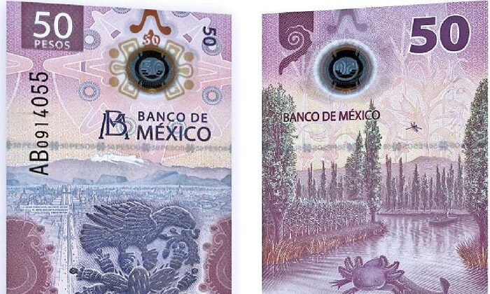 Ofertan este billete del ajolote en 3 millones de pesos por sus características especiales