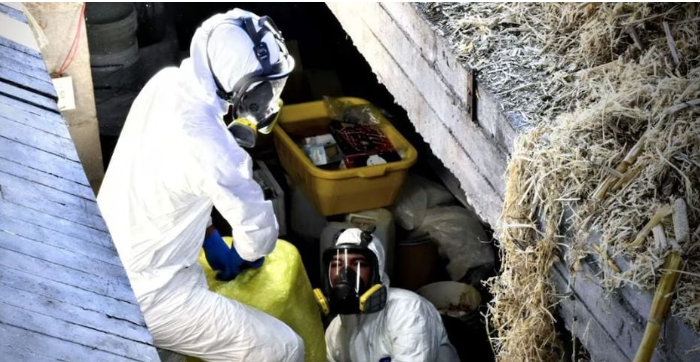 Desmantelan dos laboratorios de drogas en España y detiene a narco del Cártel de Sinaloa