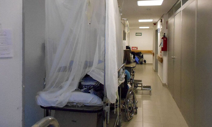 Aumentan a 1,993 casos de dengue