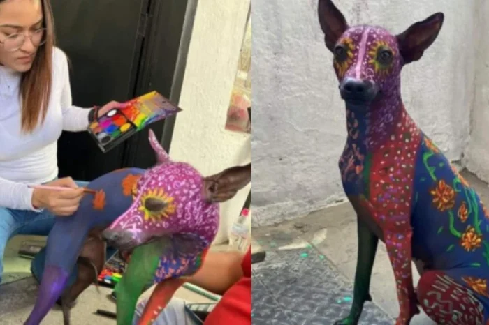 Pintan a perrita xoloitzcuintle previo a Día de Muertos y causan preocupación en redes