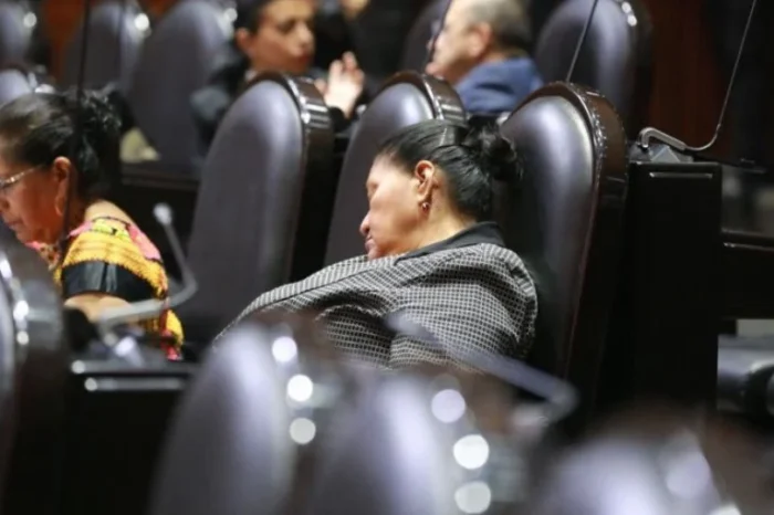 No dormimos ayer: Diputada de Morena se queda dormida en plena sesión