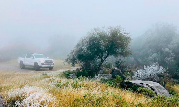 Prevén que Nuevo León registre mínimas de hasta -20°C en invierno