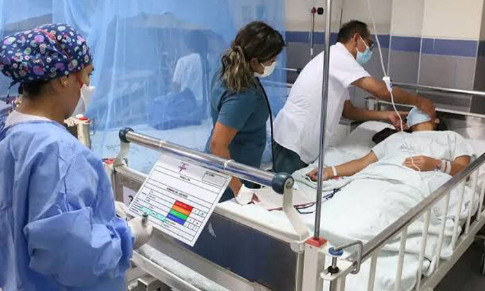 Fallecen ocho por dengue: SS