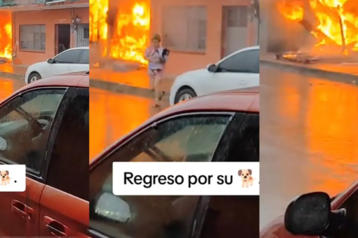 Mujer arriesga su vida y salva a su perrito de un incendio