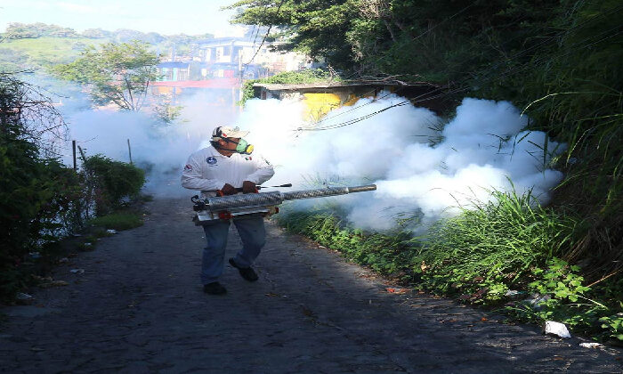 Se dispara dengue un 80% en Tamaulipas