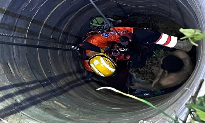 Hombre cae a un pozo, pedía ayuda a gritos y aldeanos creían que eran fantasmas