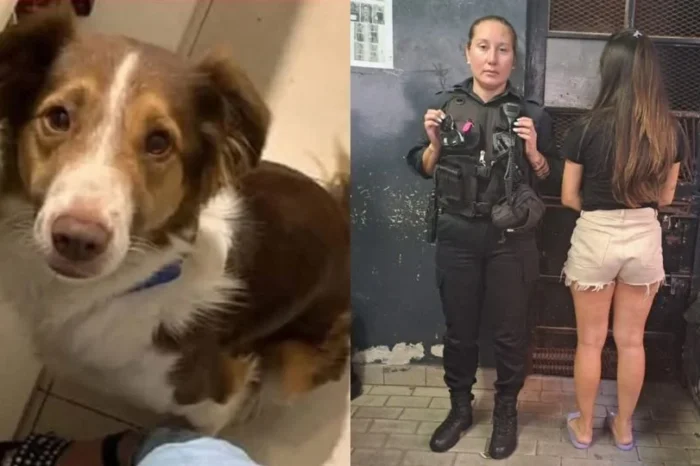 Detienen a mujer que dejó morir a su perro encerrado dentro de su auto en Argentina