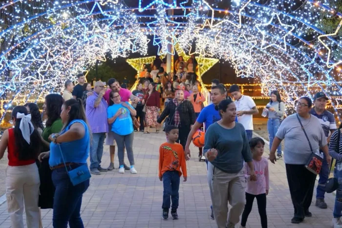Invitan a disfrutar en familia las luces y esplendor del “Viveros Mágico”.