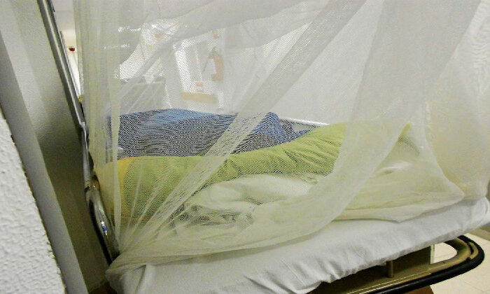 Suman más de 117 mil casos y 341 muertes por dengue en México