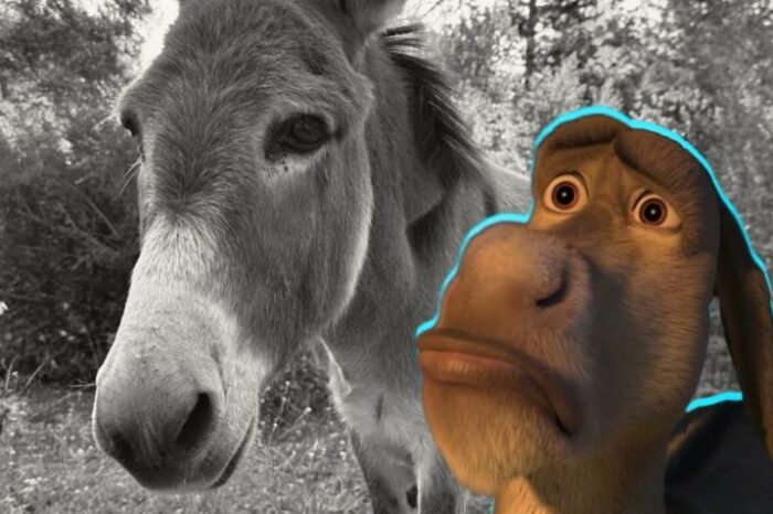 Murió «Perry», el burro que sirvió como modelo para el personaje de «Shrek»