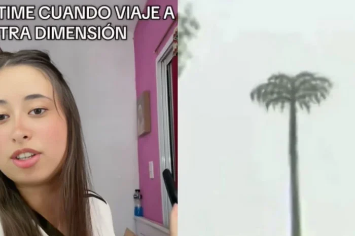 TikToker asegura haber viajado a otra dimensión: Su historia se hace viral