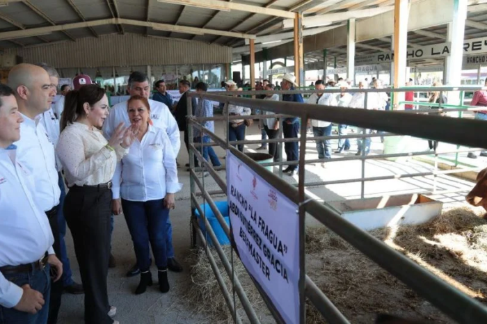 Impulsa Carmen Lilia  programa "Mejoramiento Ganadero" en Nuevo Laredo