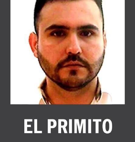 Líder del CDG, Álvaro Noé Morfín, recibe recursos públicos y licencias de construcción 