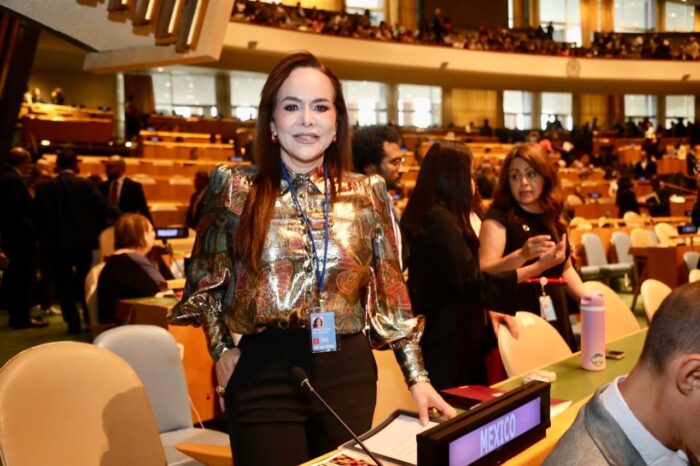Carmen Lilia representa a México en foro de la ONU sobre desarrollo sostenible