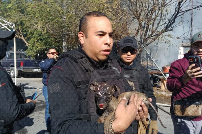 Tragedia en Nuevo Laredo: Adulto mayor muere atrapado en voraz incendio en la Viveros