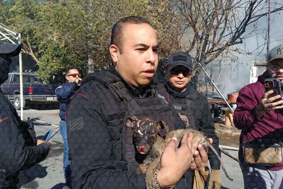 Tragedia en Nuevo Laredo: Adulto mayor muere atrapado en voraz incendio en la Viveros