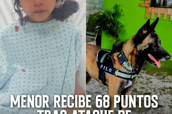 Pequeña de 7 años sobrevive a brutal ataque de perro