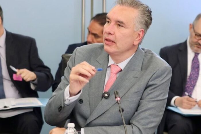 ¿Más cárcel para agresores de animales? Esta propuesta busca endurecer las penas