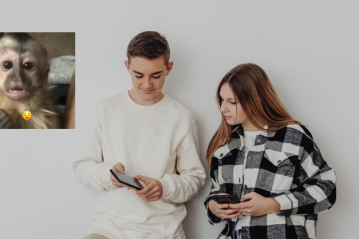 ¡Ojo! Si tienes esta línea de pago, tu teléfono ya estaría vinculado a tu CURP y tú ni en cuenta