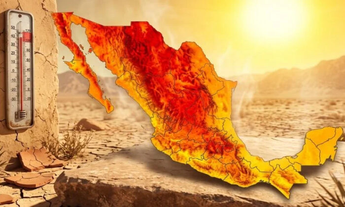 Onda de calor y canícula no son lo mismo: estas son las diferencias y cómo afectarán a Tamaulipas