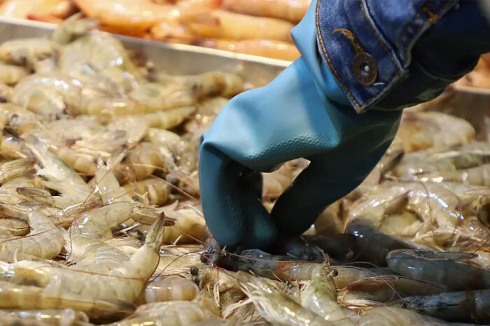 Alerta por bacteria “come carne” en EU: ya dejó 7 muertos y autoridades piden extremar precauciones