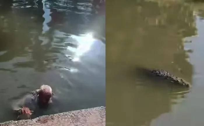 ¡Se metió a nadar sin saber que había cocodrilos! Joven salva a abuelito en Tampico