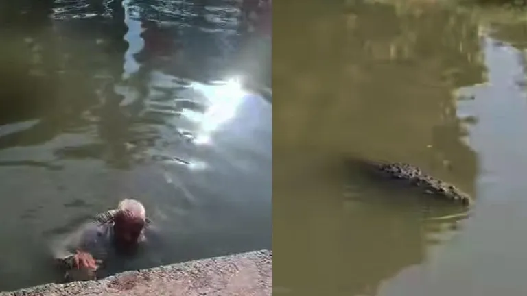 ¡Se metió a nadar sin saber que había cocodrilos! Joven salva a abuelito en Tampico