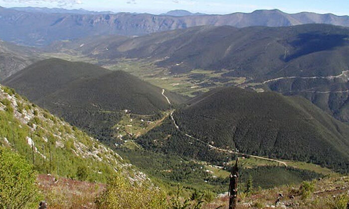 Tamaulipas va por la recuperación de sus bosques; sembrarán más de 15 mil árboles y usarán drones para reforestar