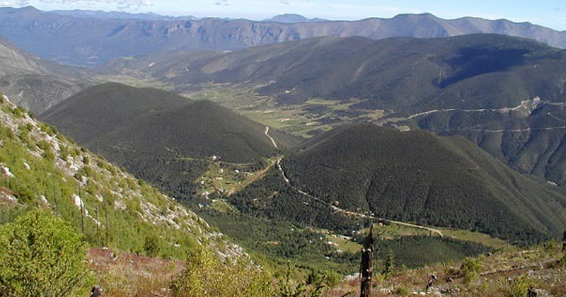 Tamaulipas va por la recuperación de sus bosques; sembrarán más de 15 mil árboles y usarán drones para reforestar