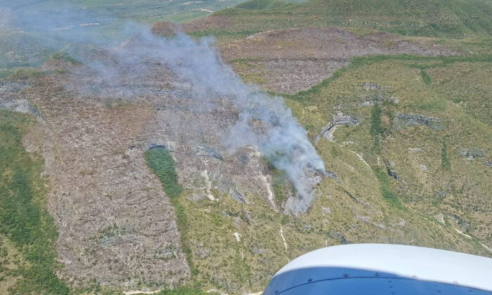 Incendios no dan tregua en Tamaulipas: ya son 87 hectáreas afectadas