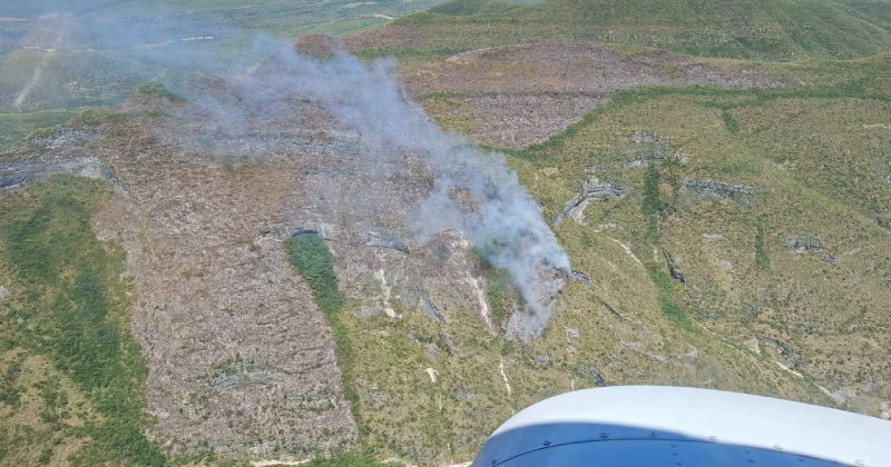 Incendios no dan tregua en Tamaulipas: ya son 87 hectáreas afectadas