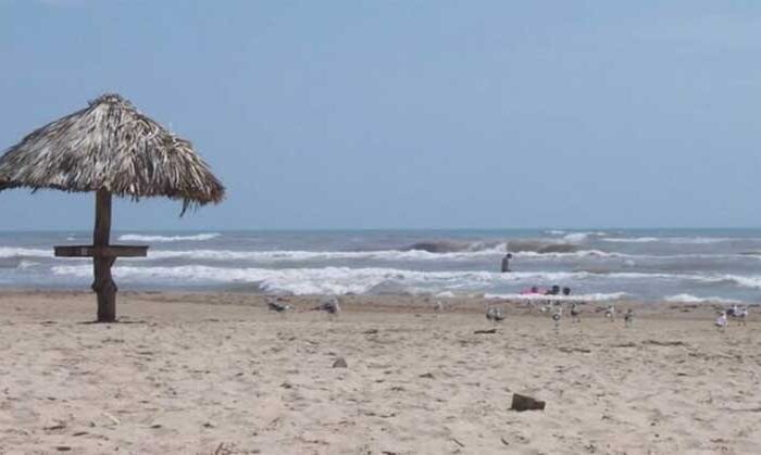 Encuentran restos de animales en Playa Bagdad y surge una inquietante sospecha