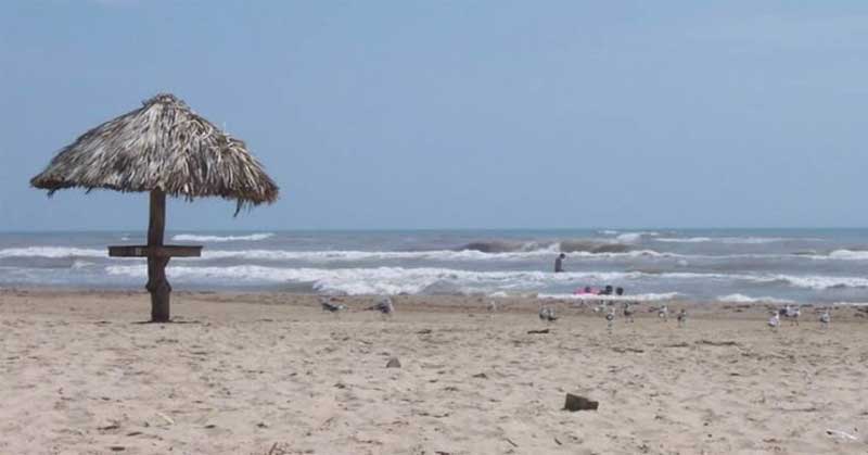 Encuentran restos de animales en Playa Bagdad y surge una inquietante sospecha