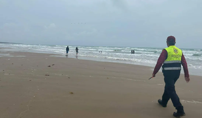 ¡Al rescate! Tamaulipas prepara centro para atender delfines y tortugas varados