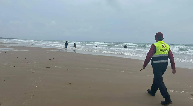 ¡Al rescate! Tamaulipas prepara centro para atender delfines y tortugas varados