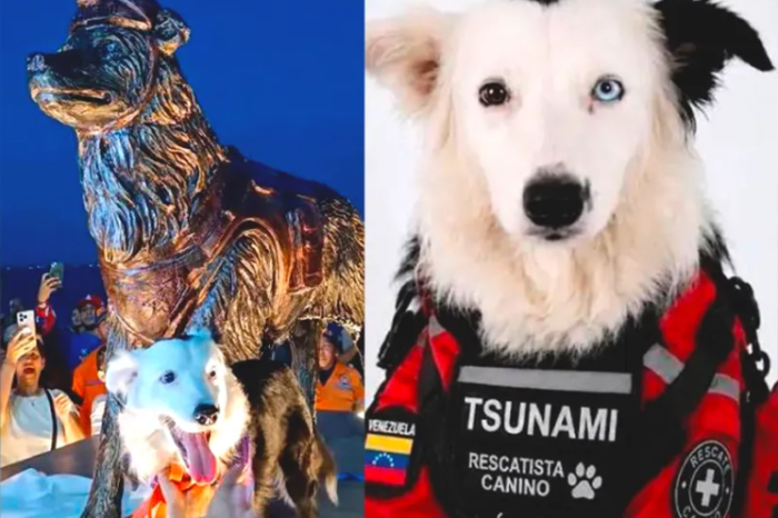 Develan estatua a perro rescatista que salvó 40 vidas