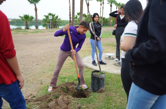 Más árboles, menos calor: Nuevo Laredo acelera su reforestación y ya supera los 5 mil ejemplares