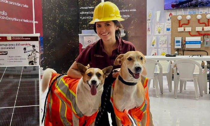 🐶🦺 ¡Los lomitos que se robaron la Feria Tamaulipas!