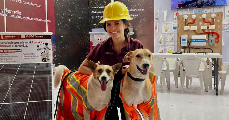 🐶🦺 ¡Los lomitos que se robaron la Feria Tamaulipas!