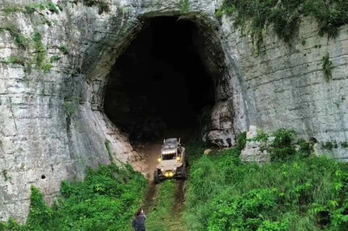 ¡Parece de película! La cueva de Tamaulipas que esconde raíces gigantes y leyendas de tesoros