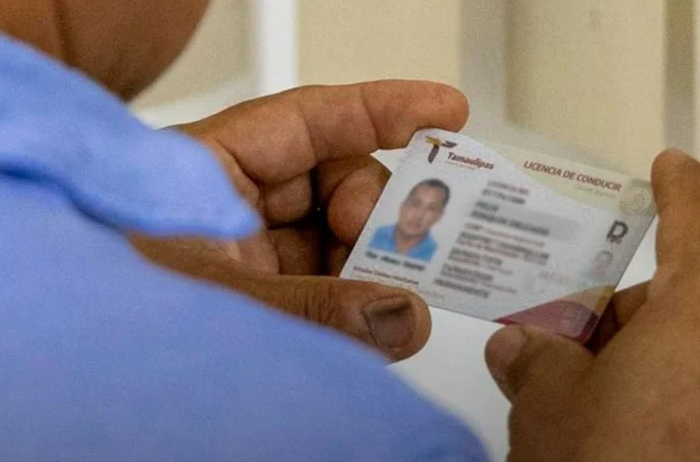 🚨 ¡Licencias a mitad de precio! Tamaulipas lanza descuento del 50% por tiempo limitado