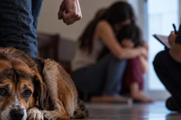 🐾🚨 ¿Maltrata a un animal? En Tamaulipas buscan detectar posibles casos de violencia familiar
